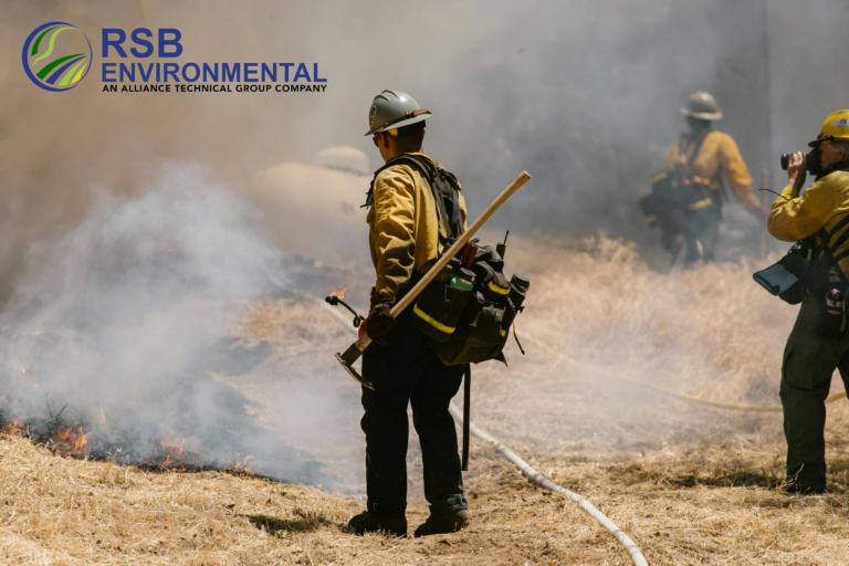 Blogs 8 Environmental Risks Every Property Buyer Should Know