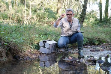 Biologist testing water quality of river